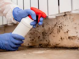 Trusted Peaceful Valley, WA Mold Remediation Experts